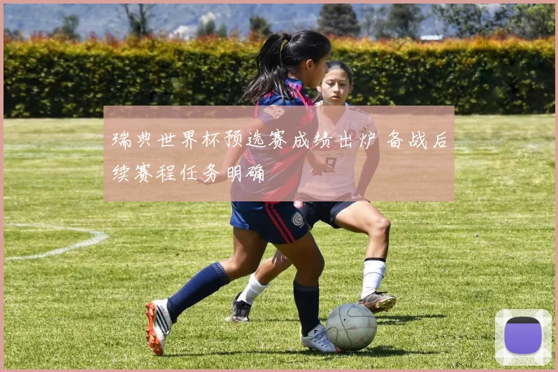 瑞典世界杯预选赛成绩出炉 备战后续赛程任务明确