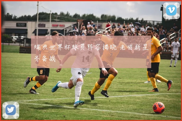 瑞典世界杯球员阵容揭晓 老将新星齐备战