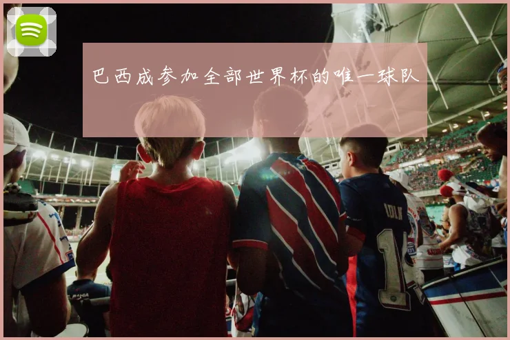 巴西成参加全部世界杯的唯一球队